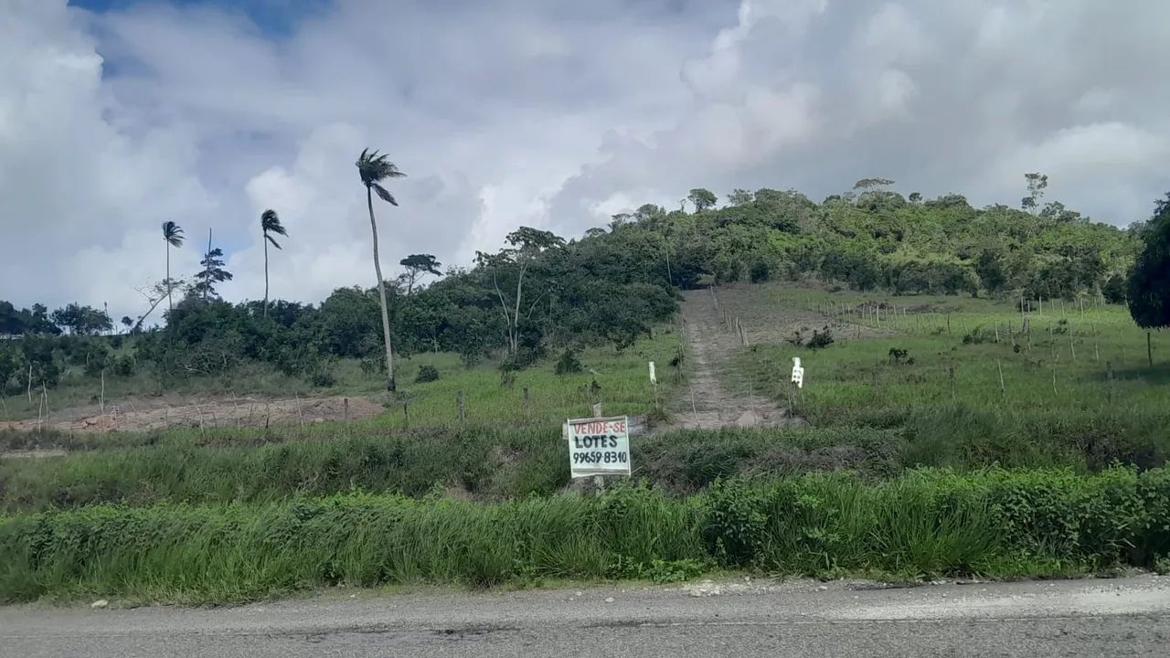 Foto - Santo Amaro das Brotas - 