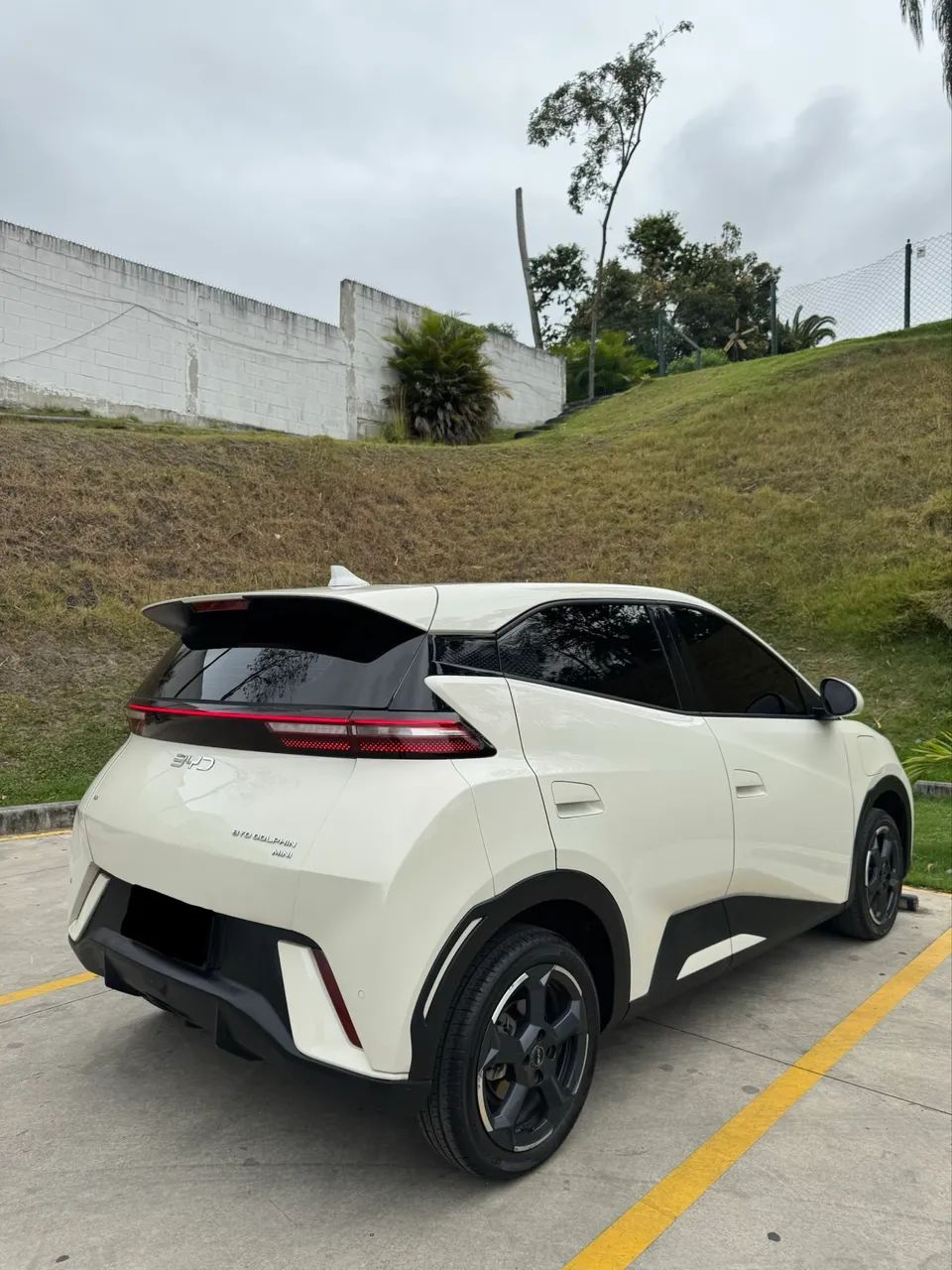 BYD Dolphin Mini (Elétrico) 2024 - Foto 3
