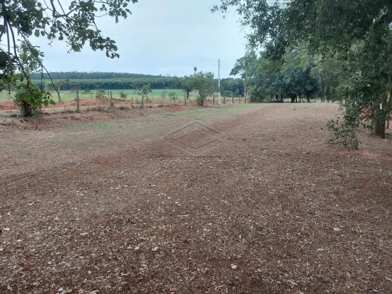 Rural ChácaraFazenda em Arealva - Foto 4
