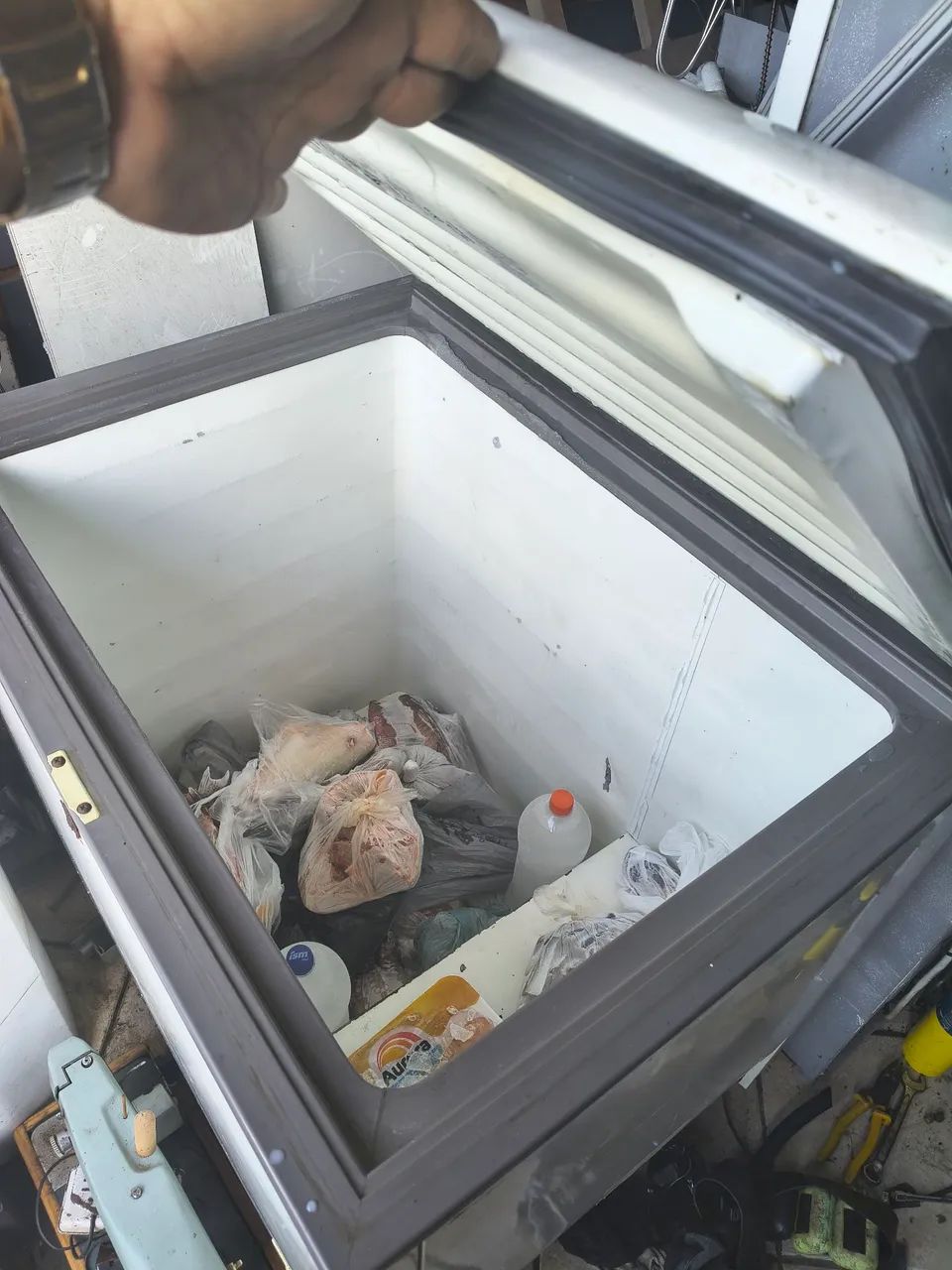 Freezer 305L - Foto 2
