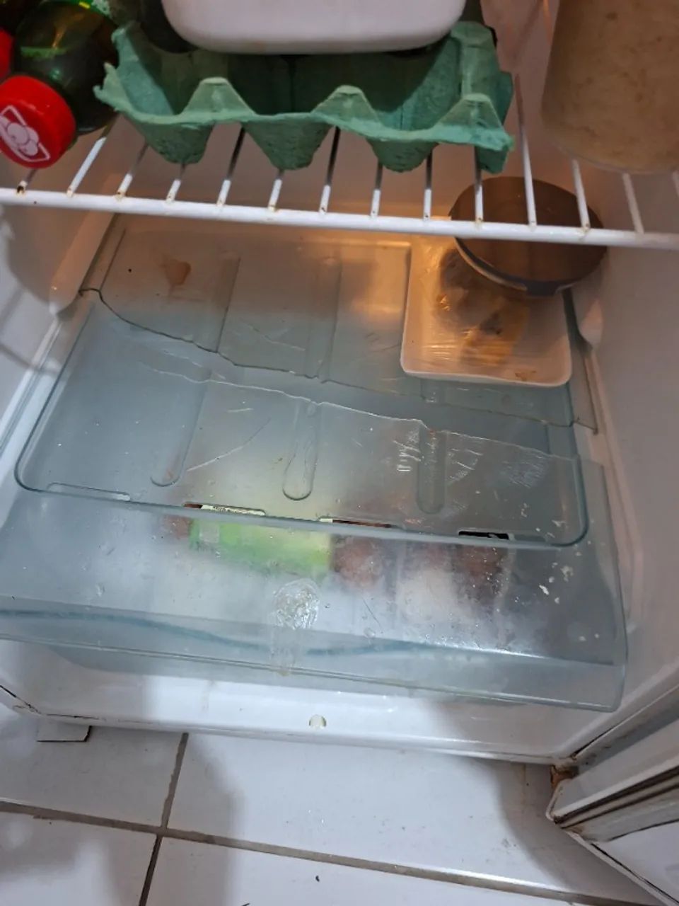Electrolux Refrigerator65576116418178124