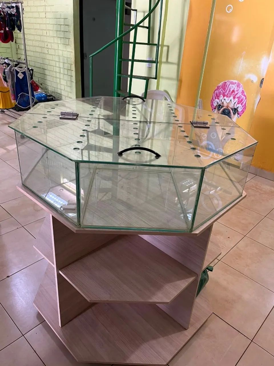 Expositor de Hamster para Loja - Foto 2