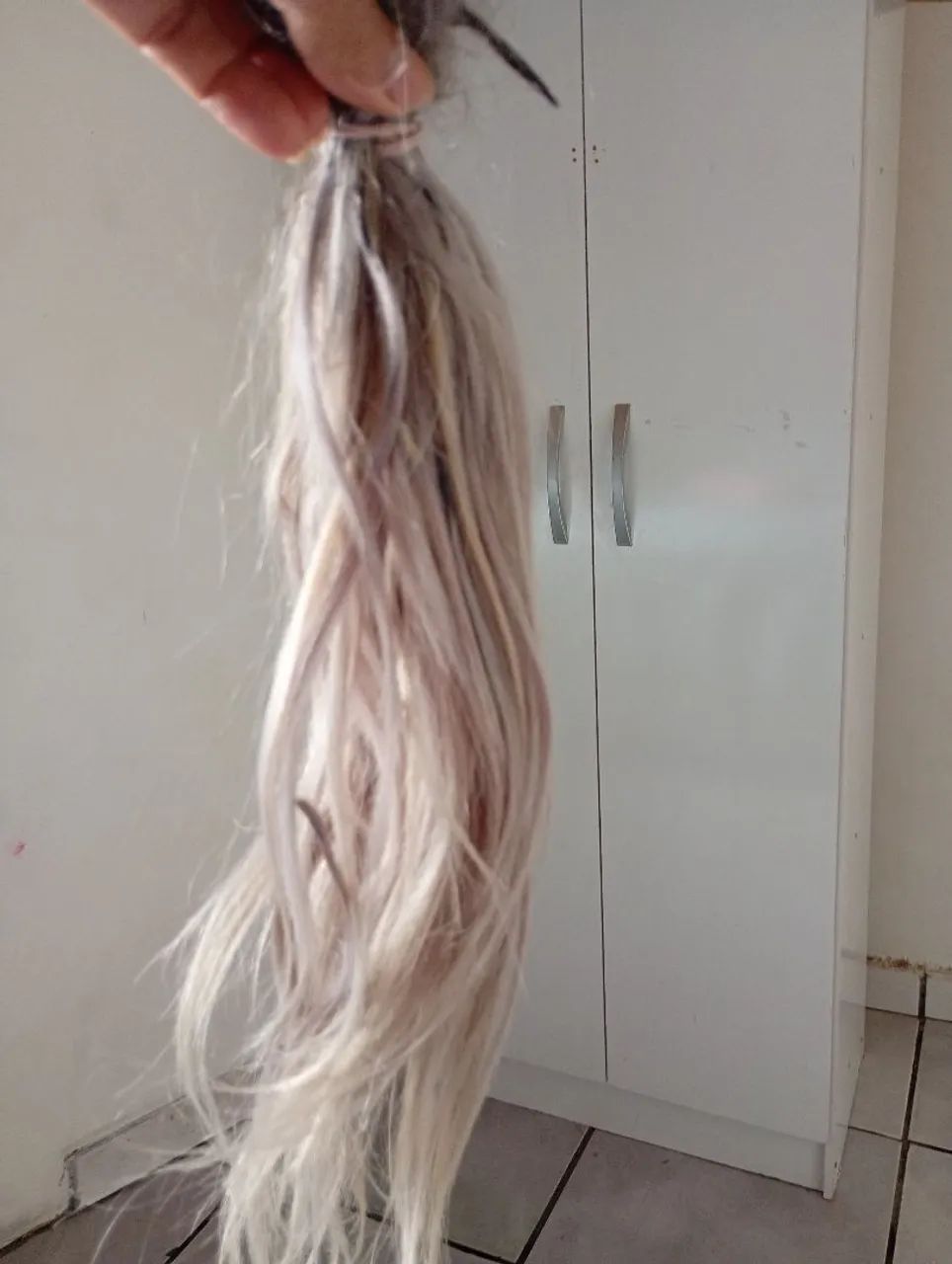 Beleza - Foto 2