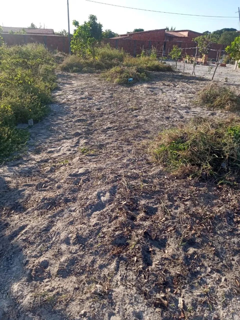 Terrenos em pidoretama 