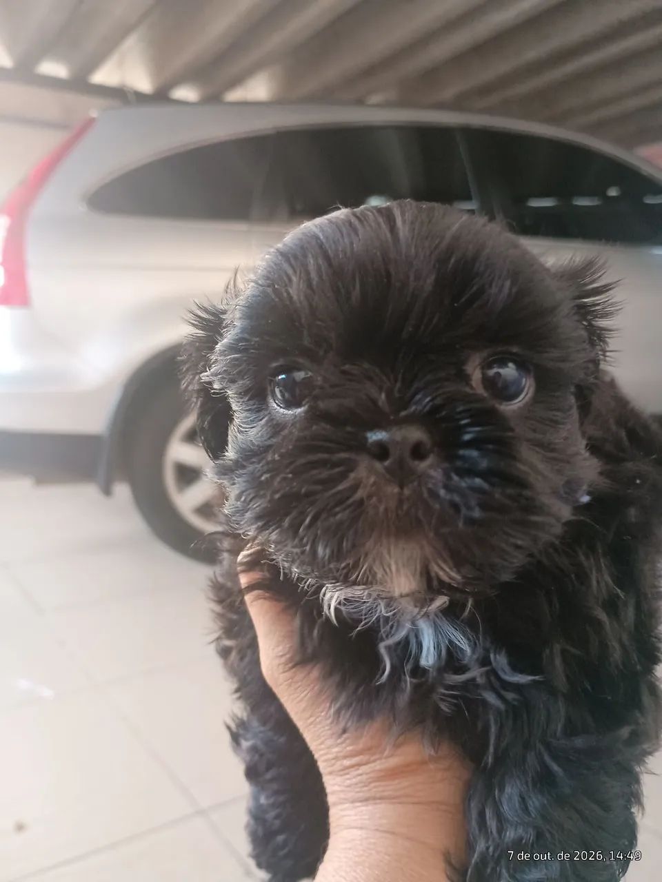 Resta 2 macho lindo  - Foto 4