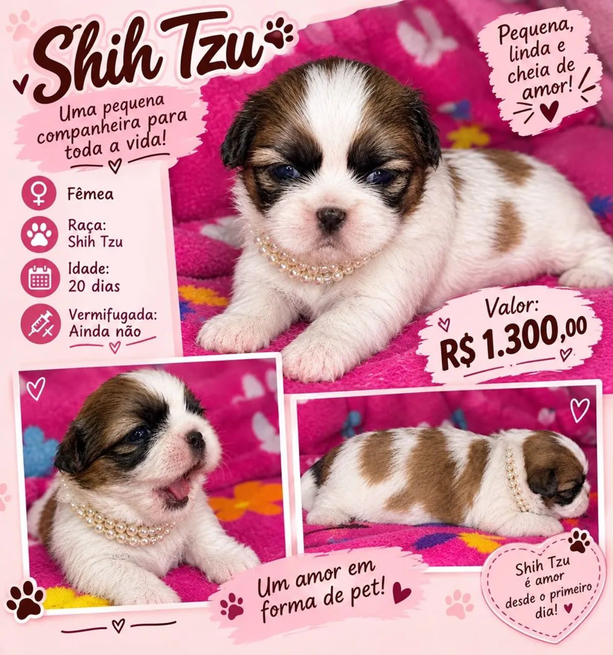 Vendo Shitsu