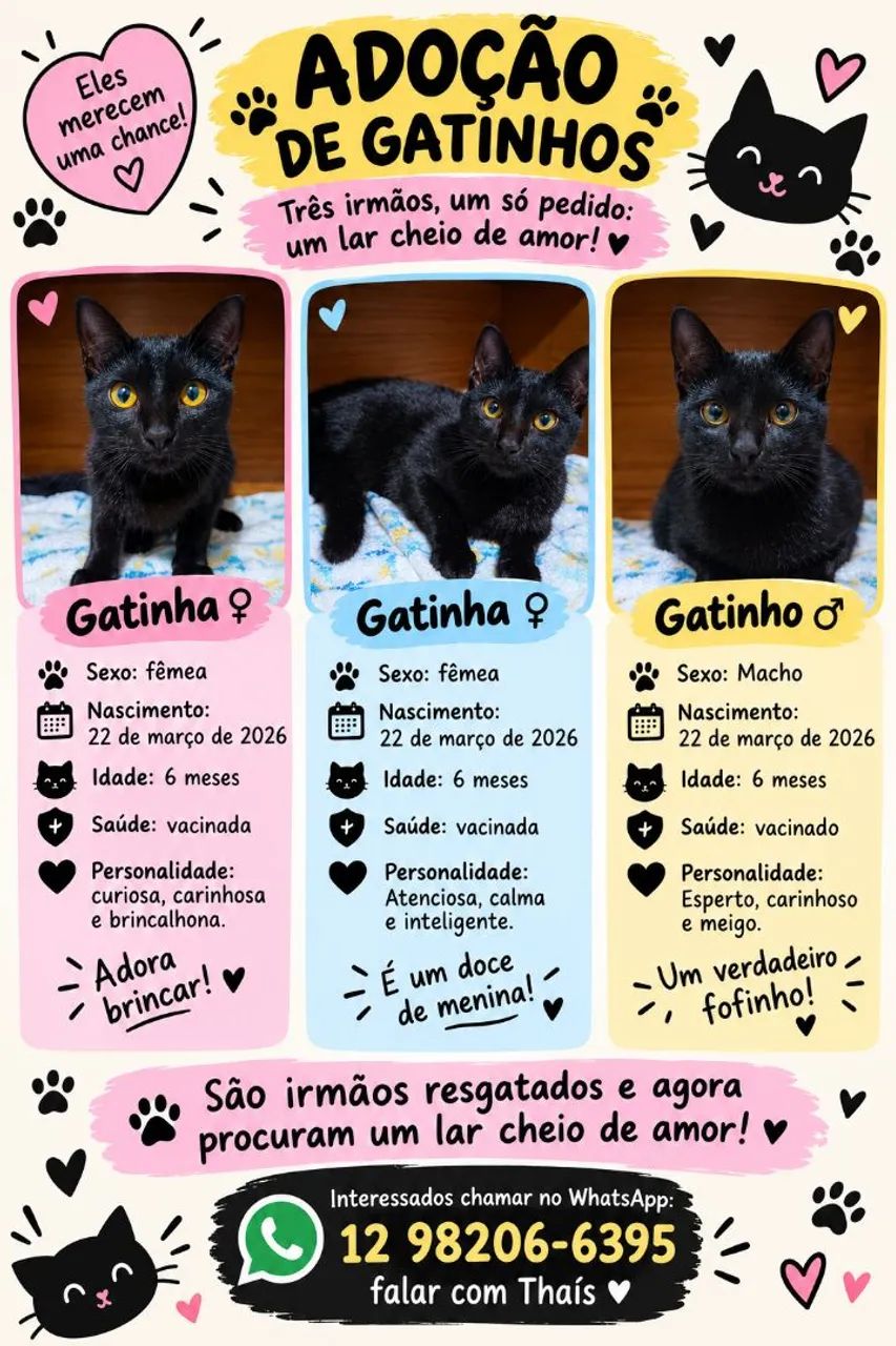 Adoção responsável