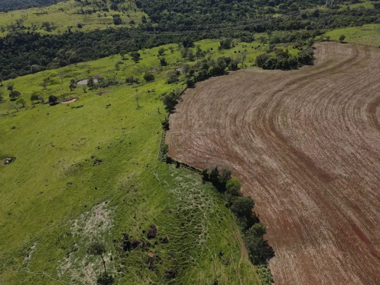 Fazenda à venda em Ramilândia/PR