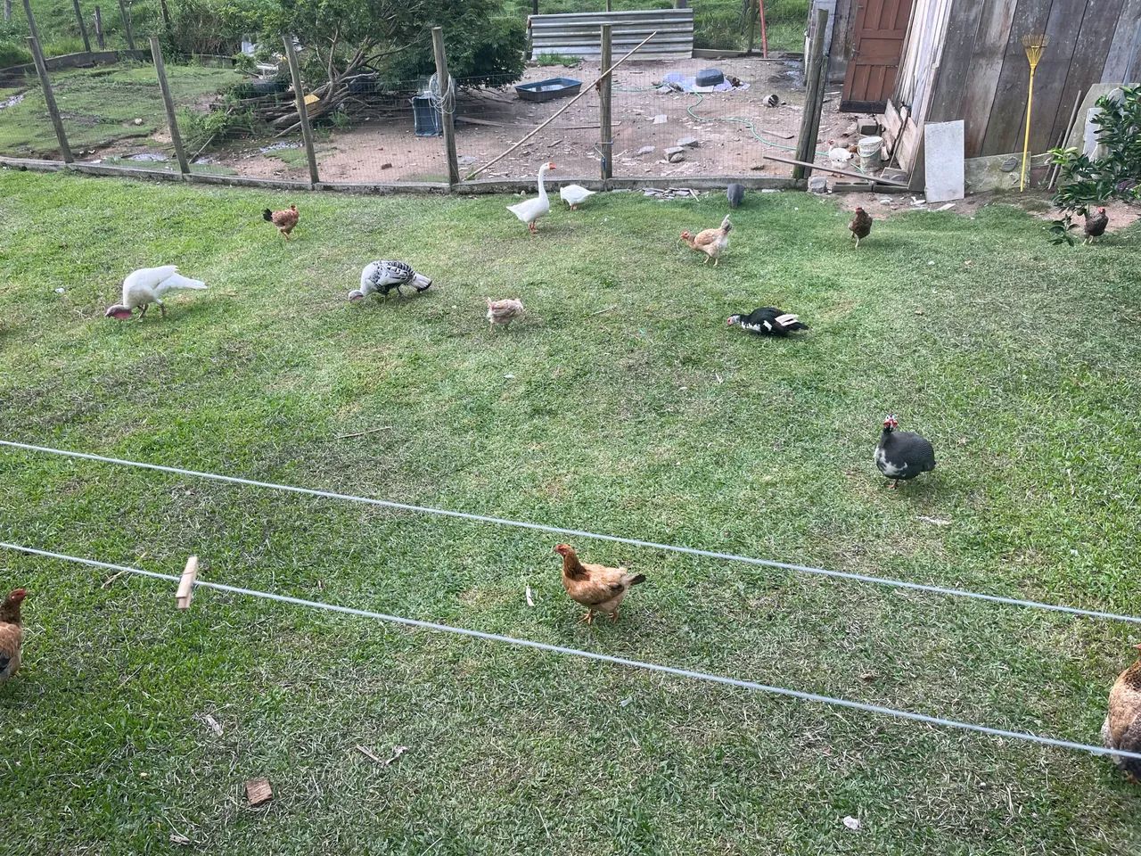 Chácara Biguacu, Fazendinha - Foto 4