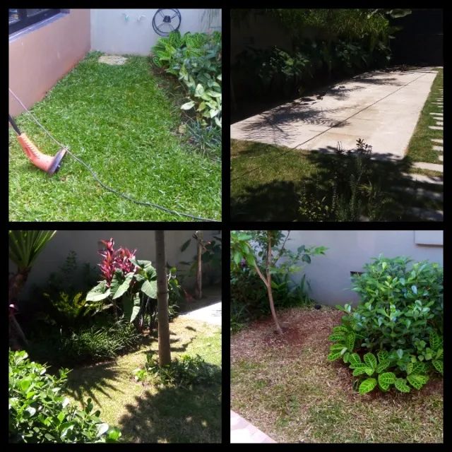 Jardinagem  - Foto 2