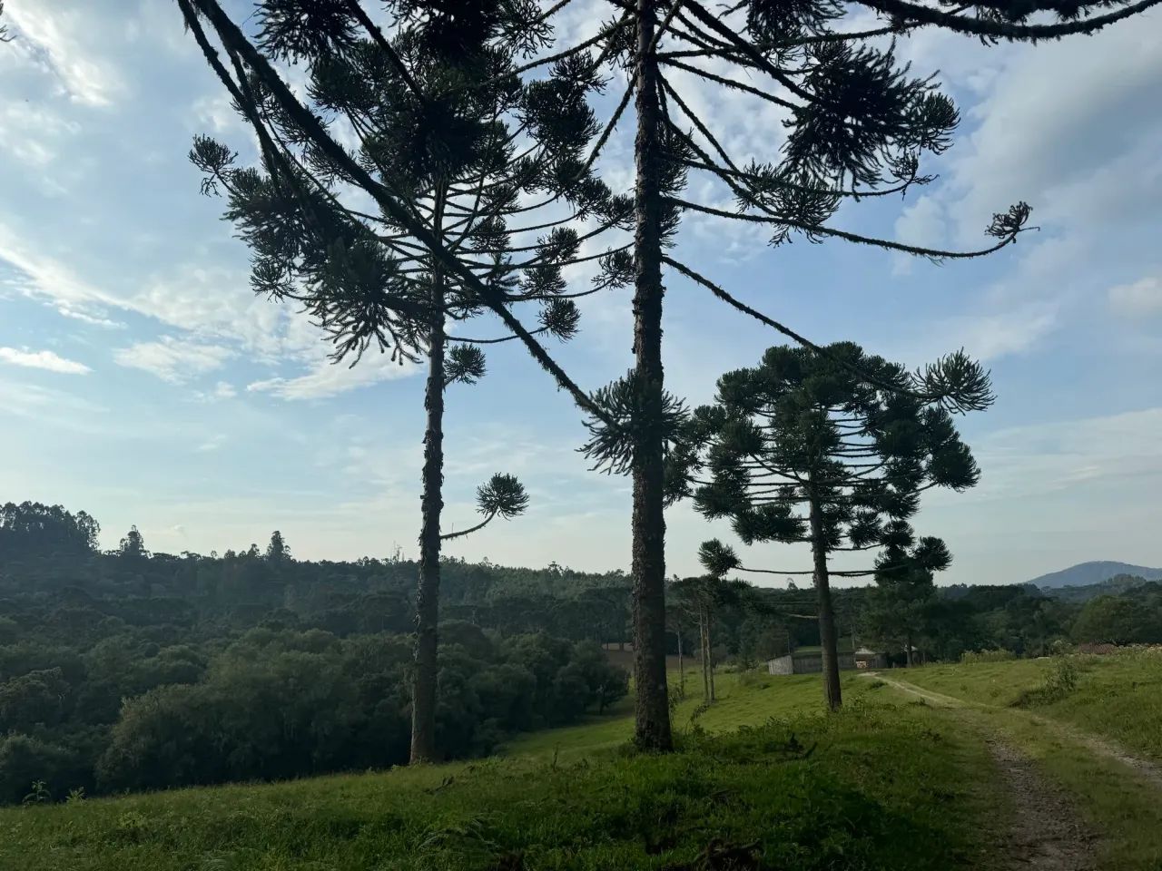 sitio a venda em Rio Rufino - Foto 2