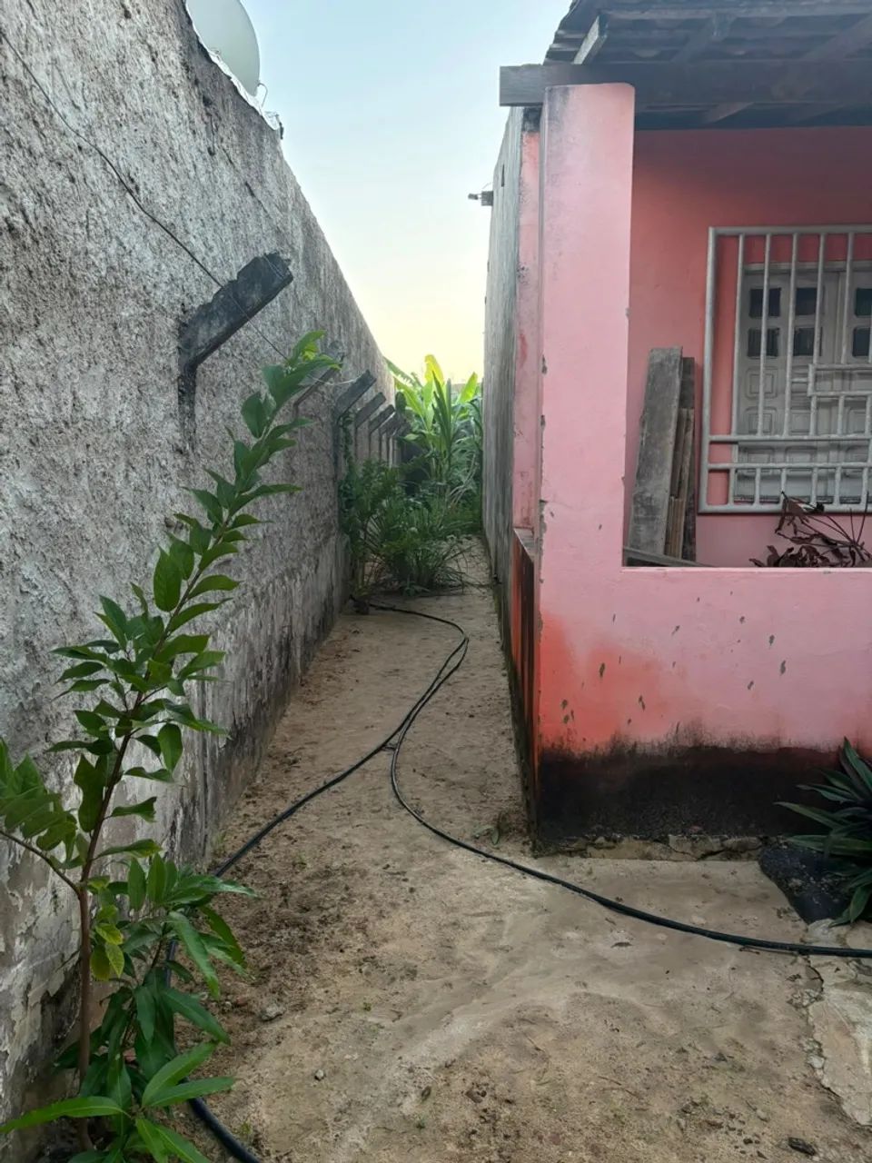 Vendo sítio  - Foto 5