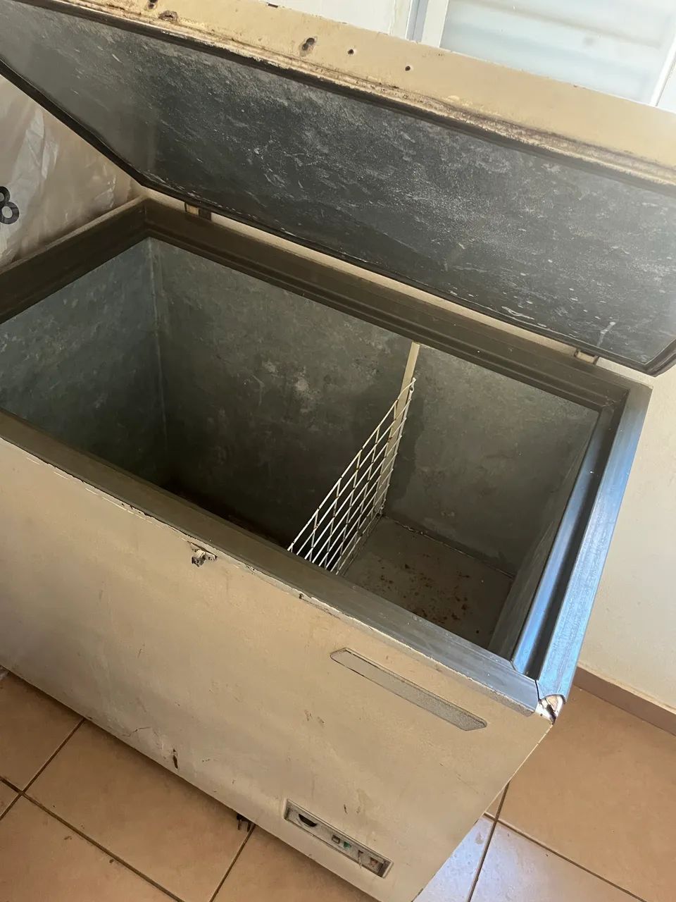 ? Freezer horizontal