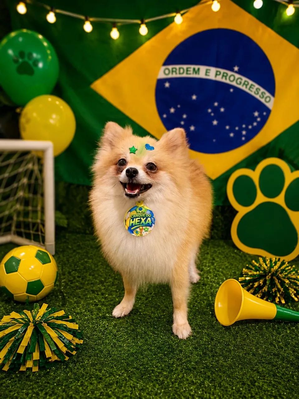 Lulu / Spitz 