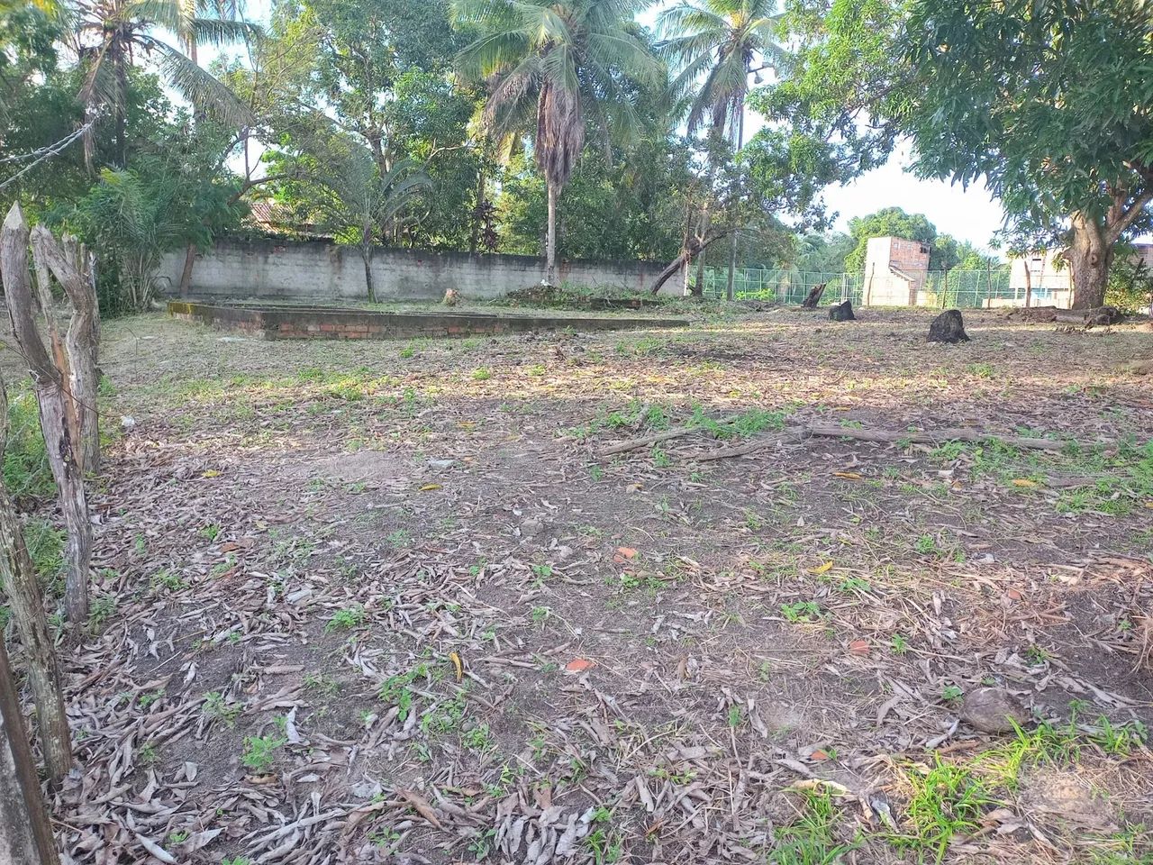 Terreno para mini sítio  - Foto 4