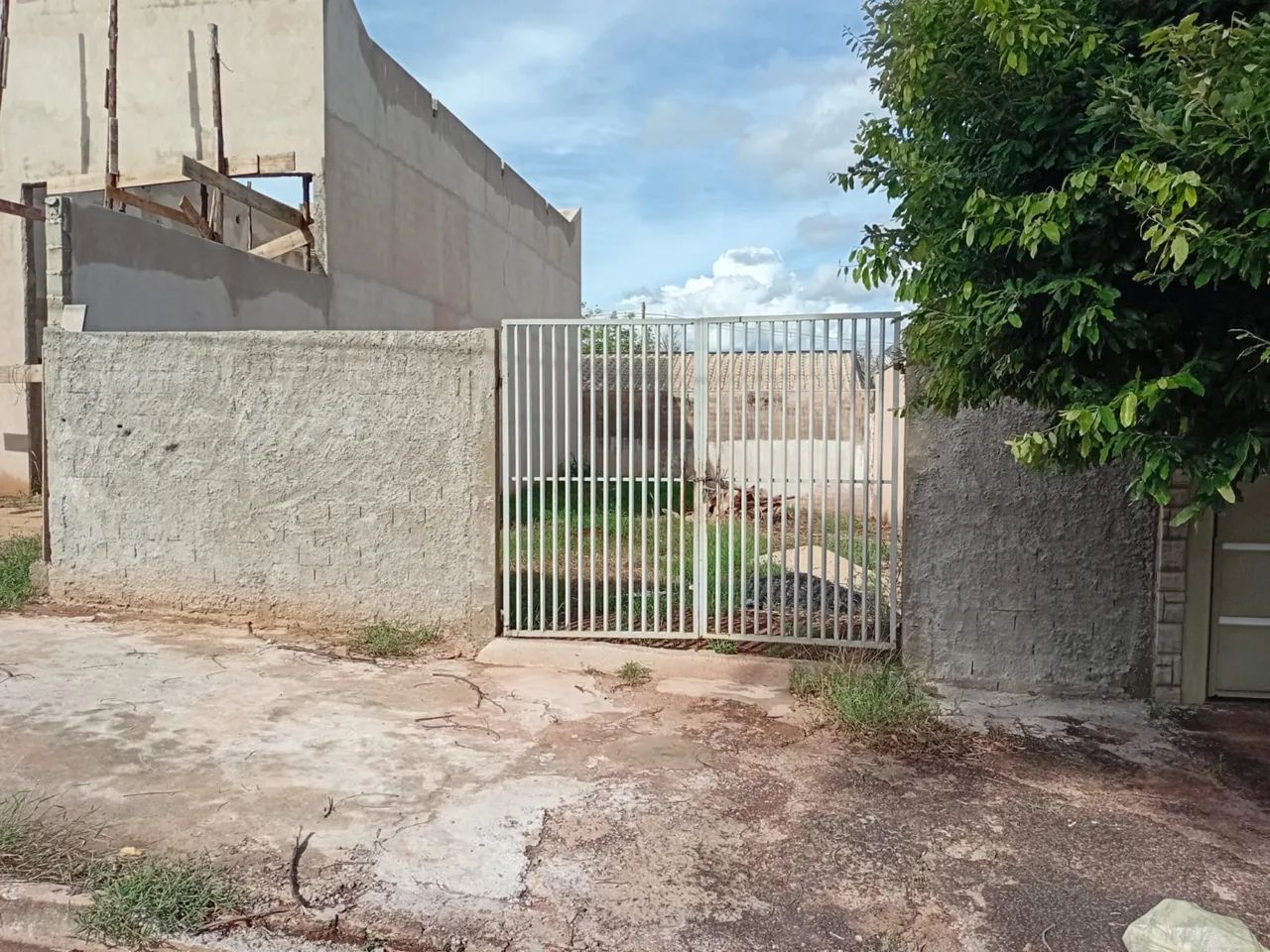 Foto - Ribeirão Preto - Parque das Oliveiras