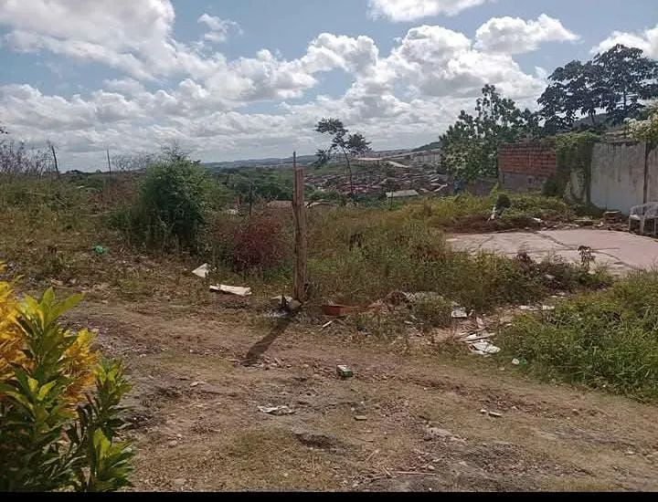 Terreno na cidade nova  - Foto 2