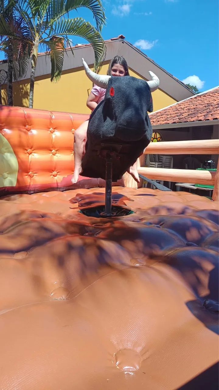 Touro Mecânico 