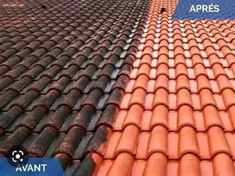 Lavagem de telhados calçadas e caixa d'água  - Foto 3