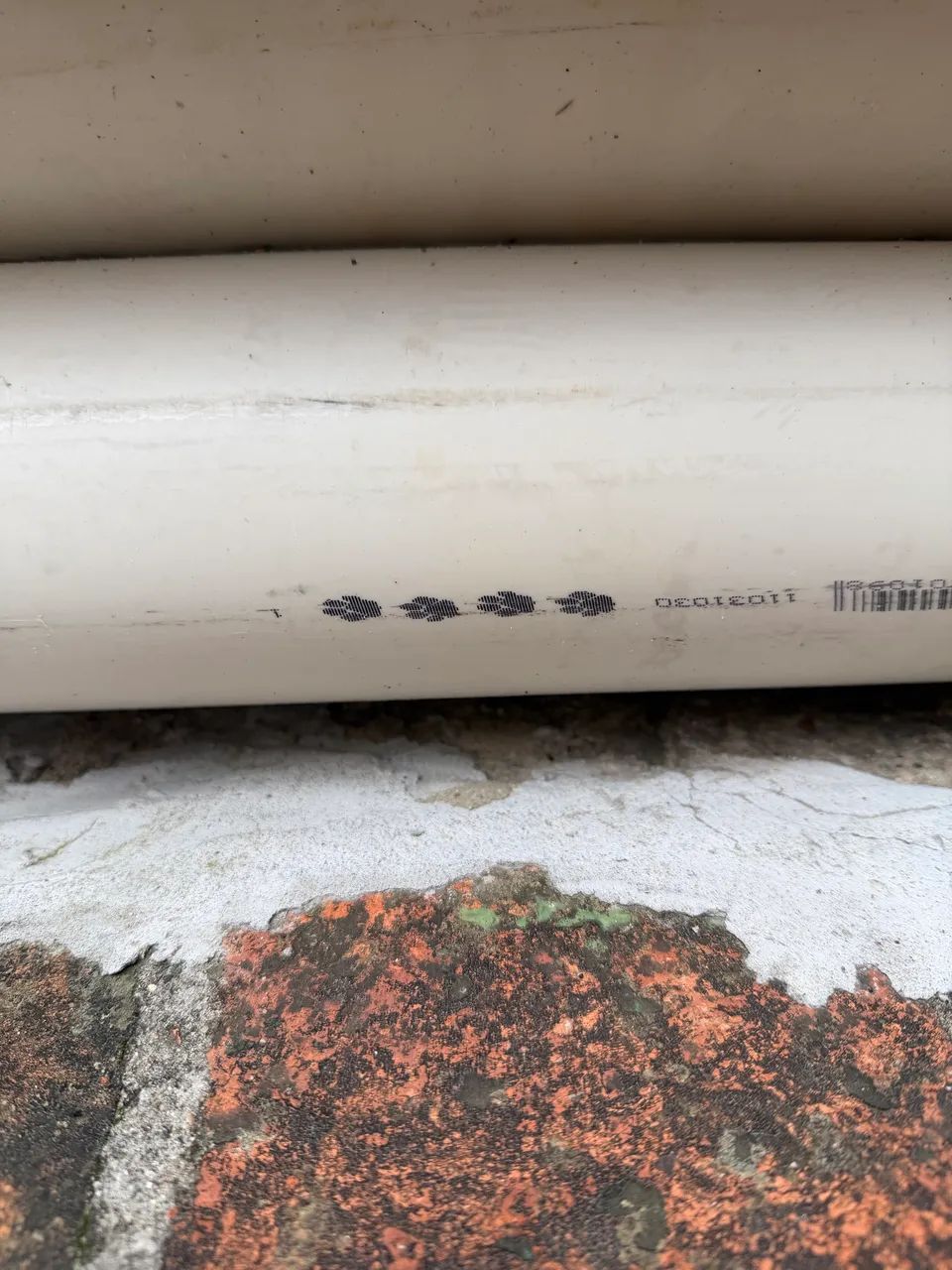 Cano 4 polegadas tigre novo 10 peças 65204108171009121