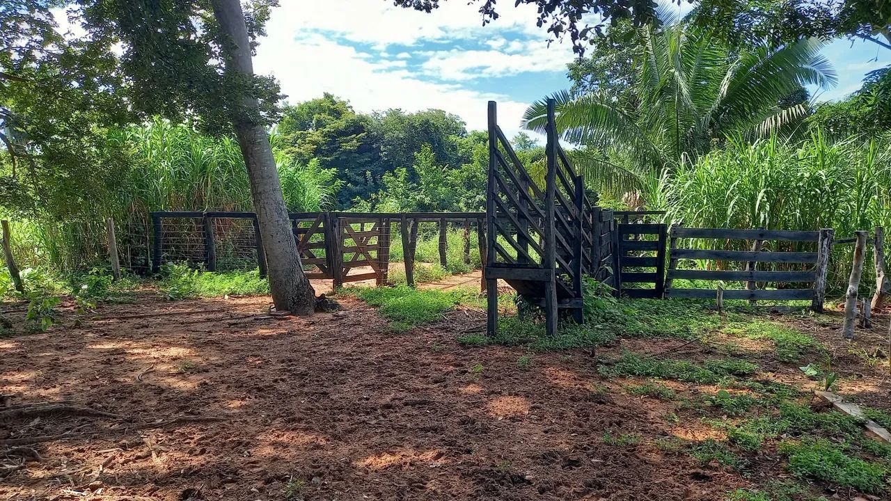 Fazenda 21.8 ha documentada. - Foto 4