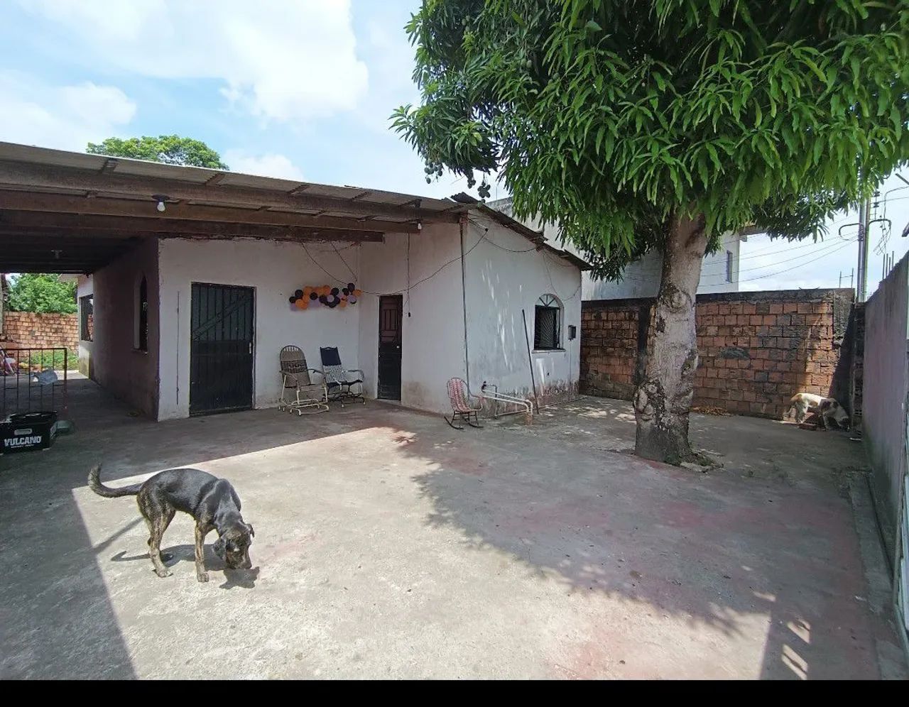 Foto - Manaus - Colônia Terra Nova