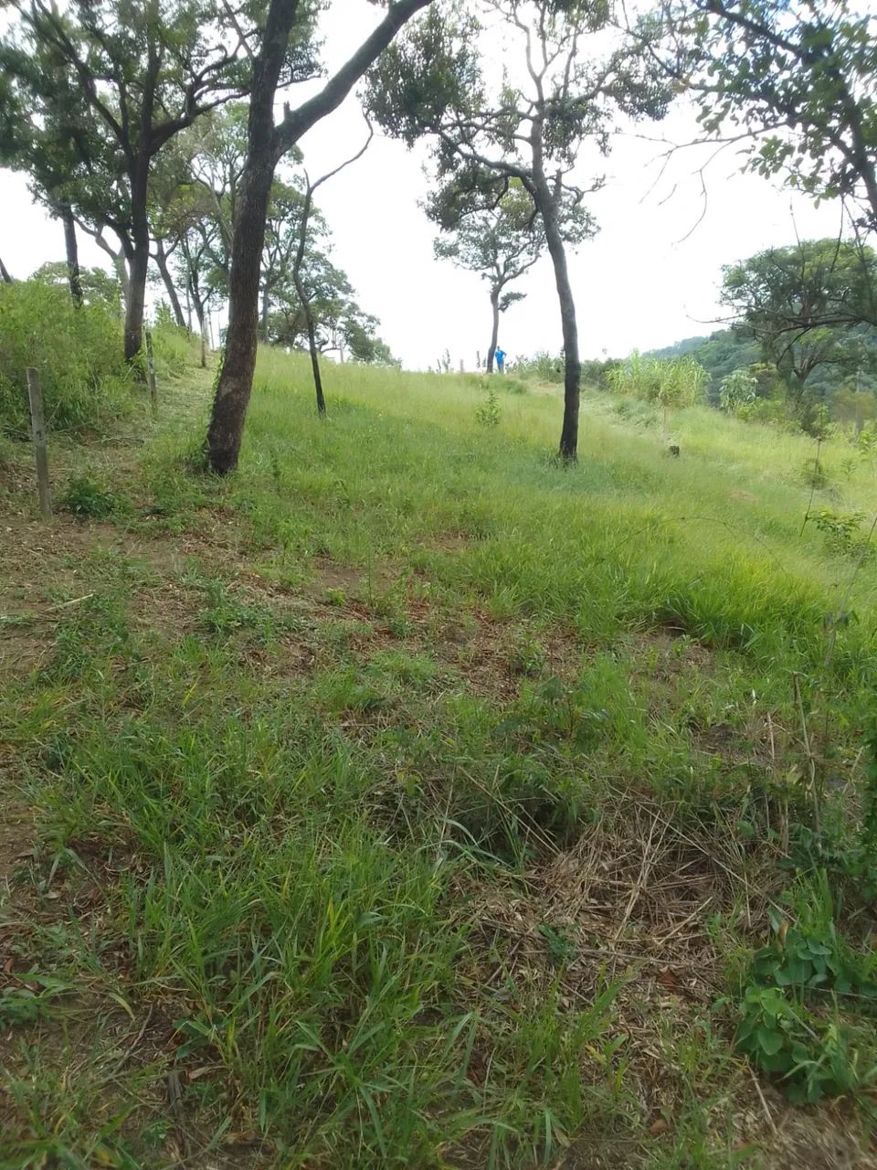Terreno em mairinque  - Foto 2