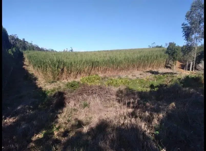 Sítio 19 alqueires São Miguel Arcanjo - Foto 5