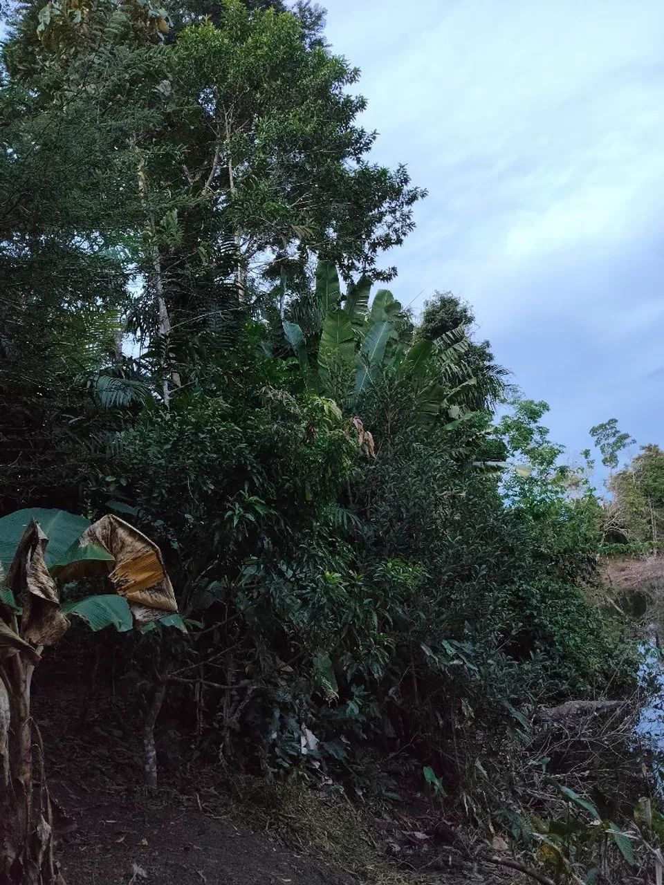 Chácara km 22/Sentido Jaci Paraná  - Foto 2