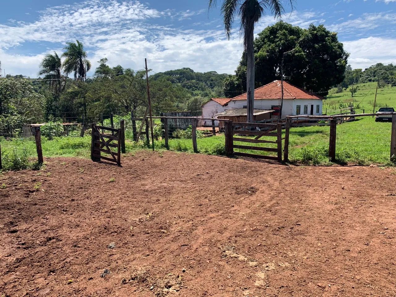 Fazenda dupla aptidão próximo Uberlândia  - Foto 5