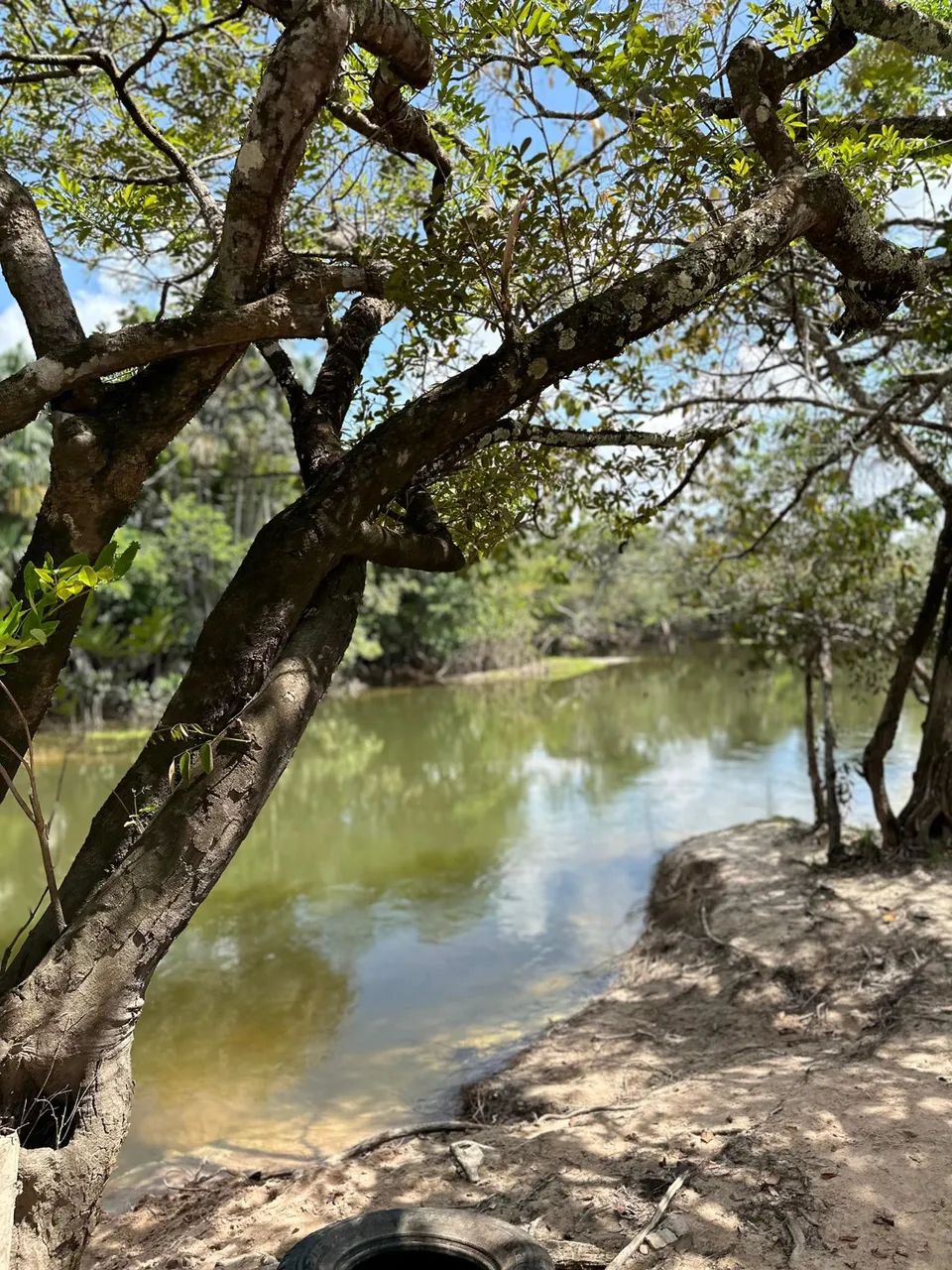 Com documentos em dias. - Foto 3