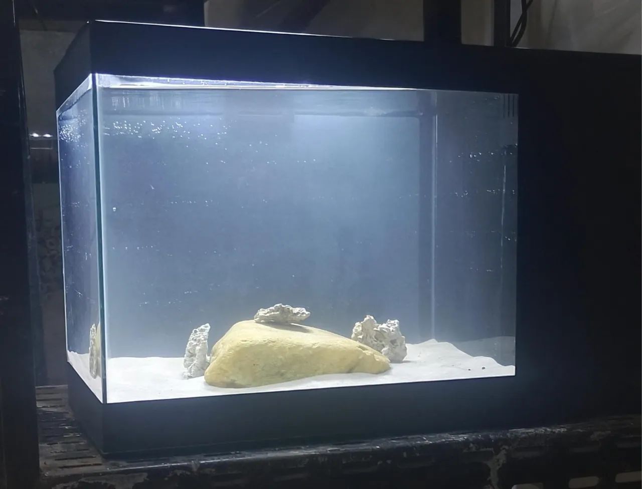  AQUÁRIO COM SUMP  - Foto 5