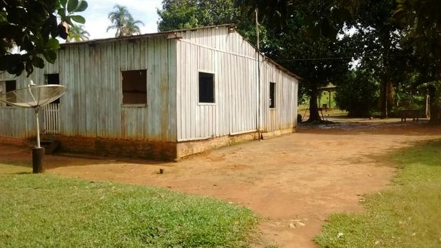 Fazenda 250hectares (pra vender urgente) - Foto 12