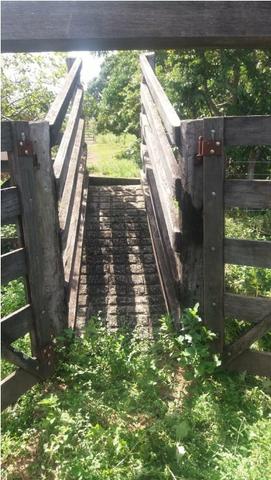 Fazenda 88,16 Alq - Venda ou Troca - UNAI - MG - Foto 16