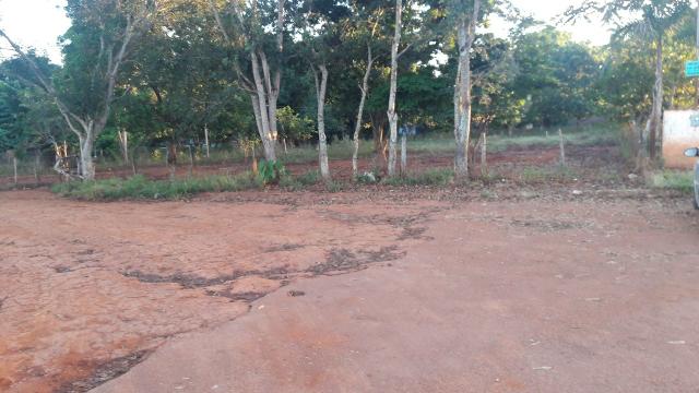 Chácara Urgente Goianira - Foto 2