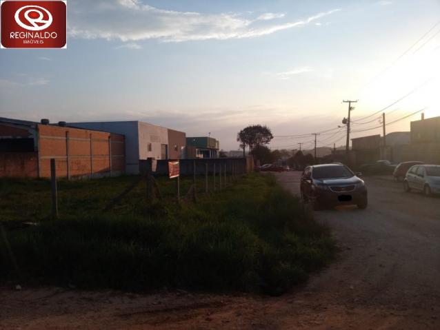 Terreno à venda em Centro industrial maua, Colombo cod:00062.004 - Foto 3