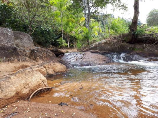 Fazenda com 15 Hectares (150 mil metros) em João Neiva - Foto 6