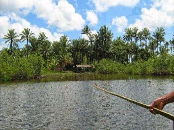 Fazenda para venda em camamu, tapuía