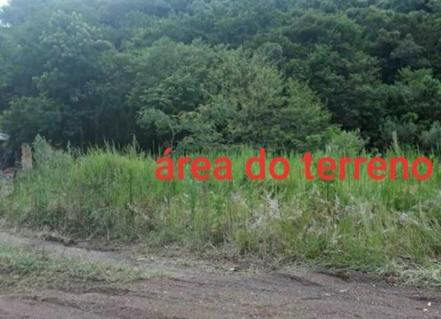 Terreno no paraíso - Foto 3