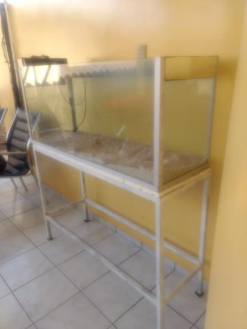 Aquário Completo Negociável - Foto 4