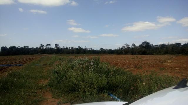Fazenda na chapada diamantina - Foto 8