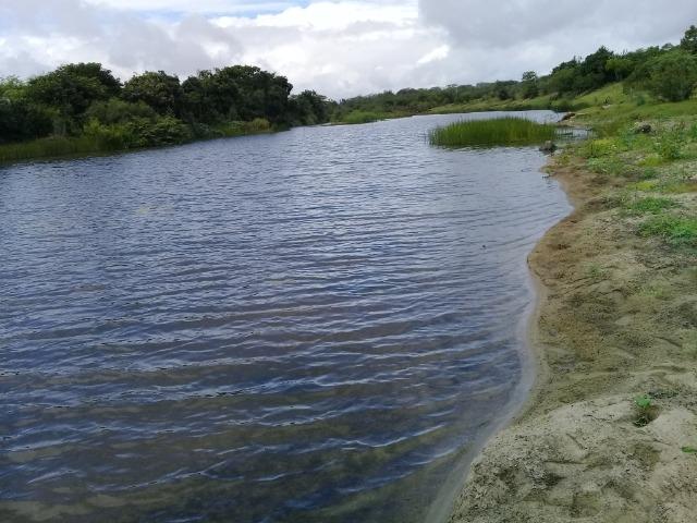 Excelente propriedade de 340 tarefas de terras margeando o rio Sacraiú - Foto 3
