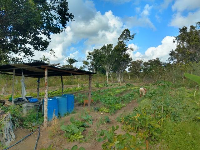 Sítio em Porto Seguro - Foto 16