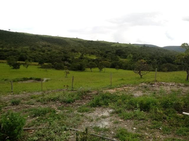 Fazenda 22 alqueires - Foto 6