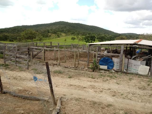 Fazenda 22 alqueires - Foto 15