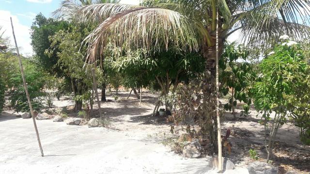 Sítio de 01 tarefa murado por 90 mil - Foto 2