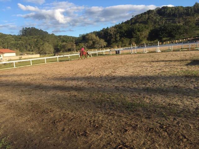 Lindo Sitio em Camboriú - Foto 6