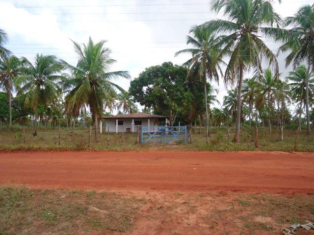 Vendo Granja em Touros-49 hectares-Escritura Publica-1500 pé de Coqueiros-Pau-Caju - Foto 7