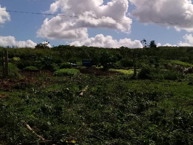 Fazenda Ipiaú vale do Gongoji de 1.150ha com estrutura e sede. Oportunidade - Foto 8