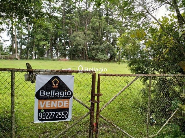 Terreno - Foto 2